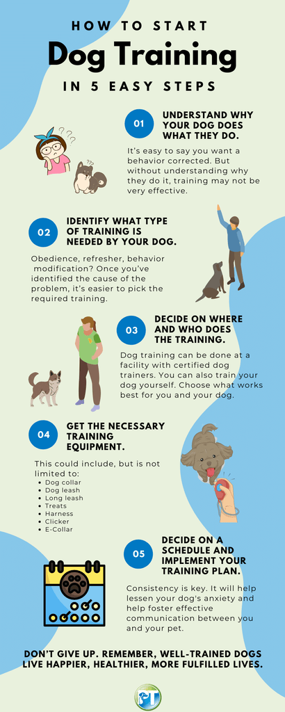 How to Train a Stubborn Dog to Come
