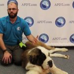 How to Train Big Dogs