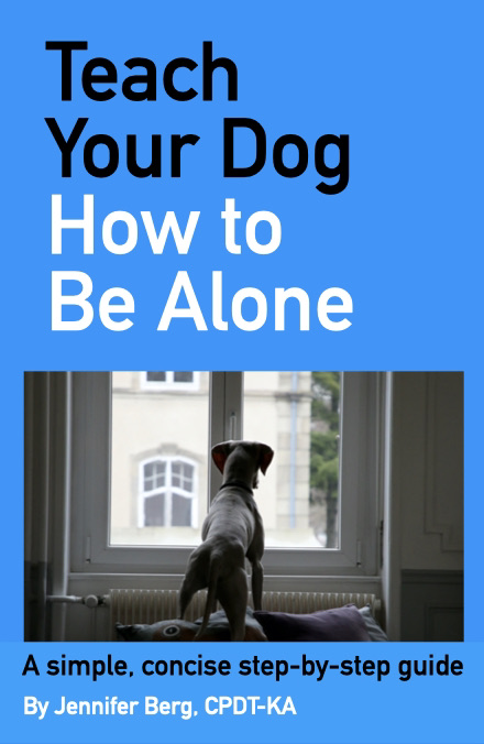 How to Train Dog to Be Home Alone