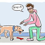 How to Train Dog to Play Fetch