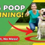 How to Train Dog to Poop in One Area