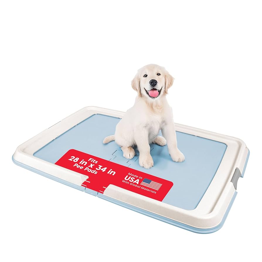 How to Train Dog to Poop on Pad