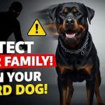How to Train Dog to Protect