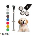 How to Train Dog to Use Bell to Pee