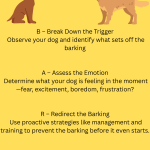 How to Train Dogs Not to Bark at People