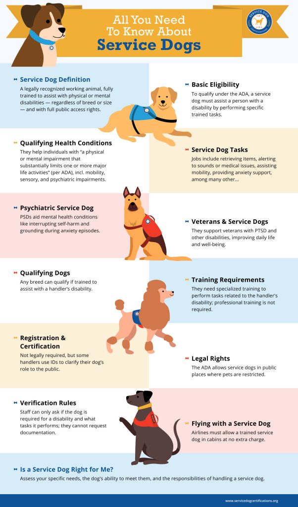 How to Train Emotional Support Dog