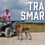 How to Train Hunting Dogs