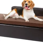 How to Train My Dog to Stay off the Couch