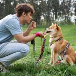 How to Train Older Dogs