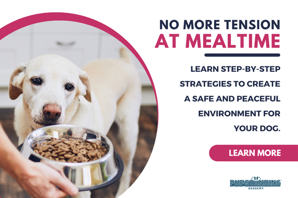 How to Train Resource Guarding Out of Dogs