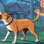 How to Train Territorial Dog
