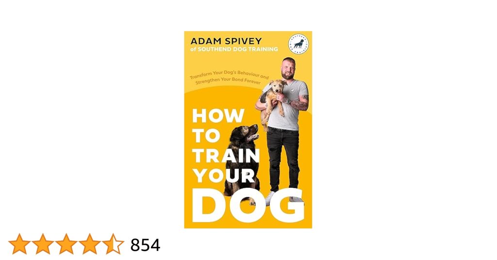 How to Train Your Dog Book