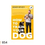 How to Train Your Dog Book