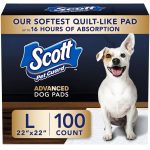 How to Train Your Dog Pee Pad