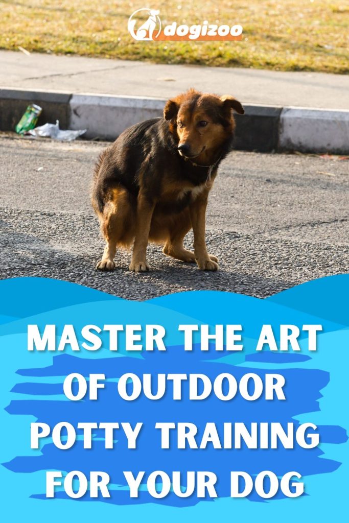How to Train Your Dog to Go Bathroom Outside