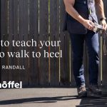 How to Train Your Dog to Heel on Leash