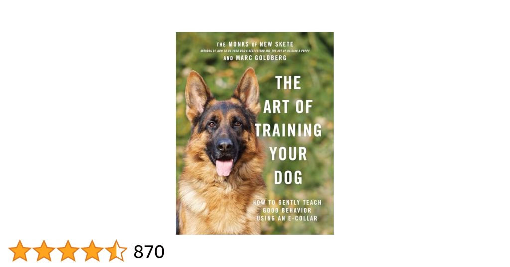 How to Train Your Dog With an E Collar