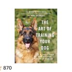 How to Train Your Dog With an E Collar