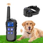 How to Train Your Dog With an Electric Collar