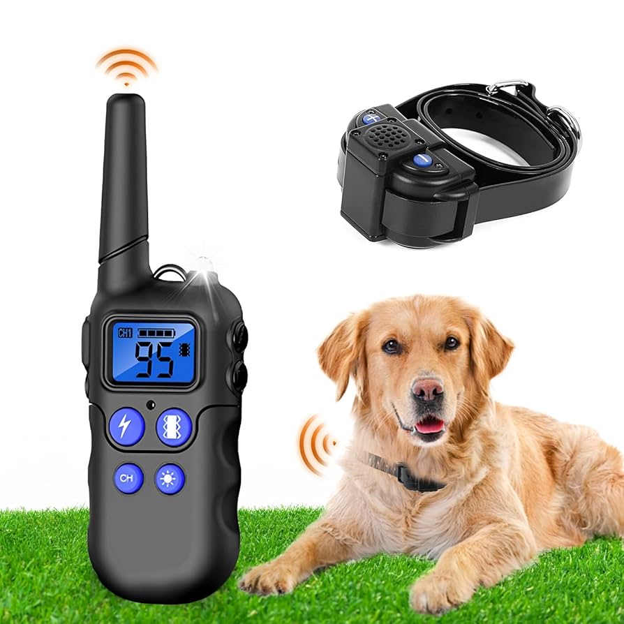 How to Train Your Dog With an Electric Collar