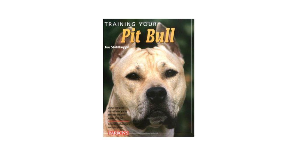 How to Train Your Pitbull Dog