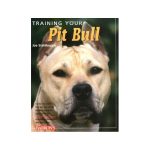 How to Train Your Pitbull Dog