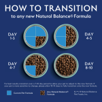 How to Transition Dog to Adult Food