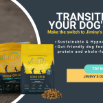 How to Transition to Adult Dog Food