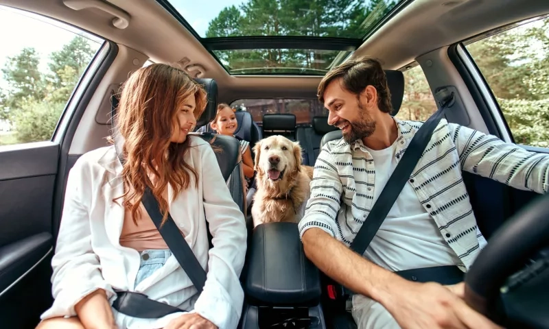 How to Travel With Dog in Car