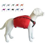 How to Travel With Large Dogs