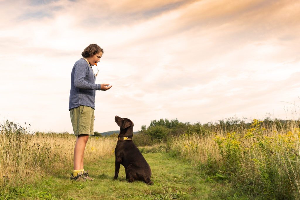 How to Whistle Train a Dog