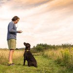How to Whistle Train a Dog