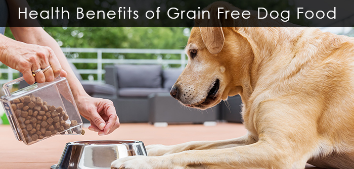 Is a Grain Free Diet Good for All Dogs