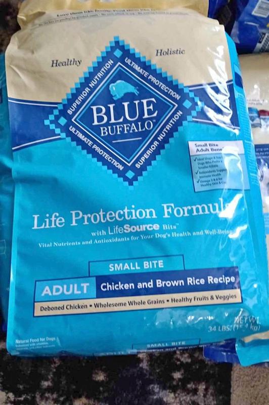 Is Blue Dog Food Only for Adult Dogs