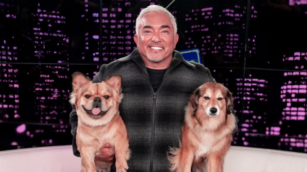 Is Cesar Millan a Good Dog Trainer