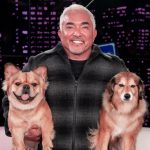 Is Cesar Millan a Good Dog Trainer