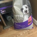 Is Eukanuba Excel Adult Salmon Formula Dry Dog Food Discontinued