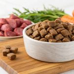 Is Freeze-Dried Raw Food Safe for Dogs