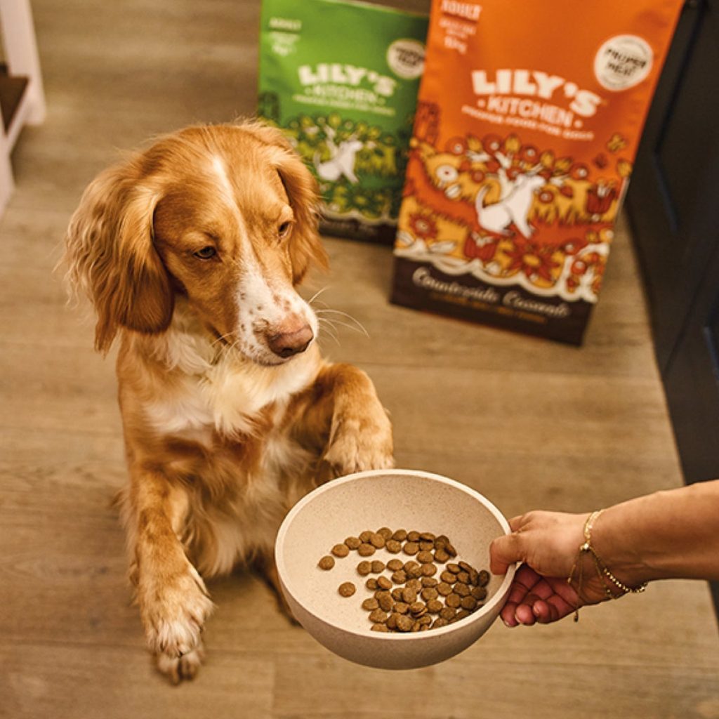 Is Grain Free Diet Good for Dogs