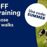 Is Petco Dog Training Good