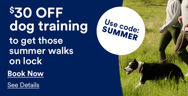 Is Petco Dog Training Good