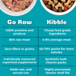 Is Raw Dog Food Good for Weight Loss