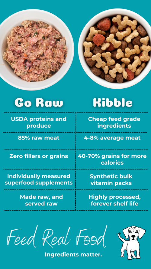 Is Raw Dog Food Good for Weight Loss