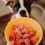 Is Raw Food Bad for Dogs Teeth