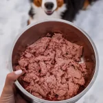Is Raw Food Best for Your Dog
