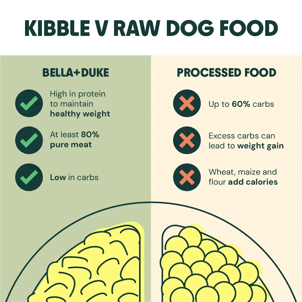 Is Raw Food Better for Dogs Than Kibble