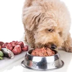 Is Raw Food Better for My Dog
