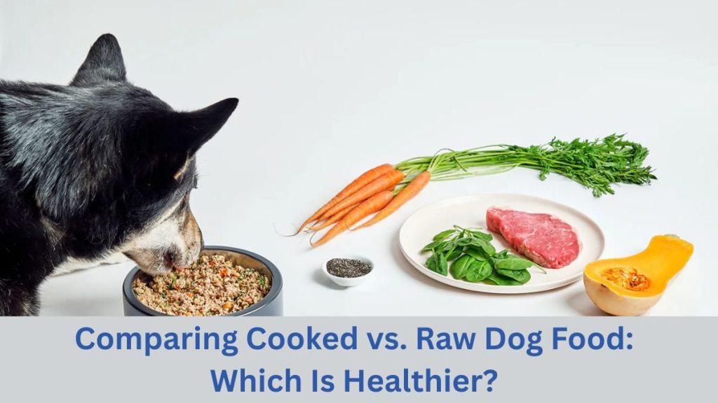 Is Raw Food Better Than Cooked Food for Dogs
