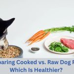 Is Raw Food Better Than Cooked Food for Dogs