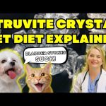 Is Raw Food for Dogs Good With Struvite Crystals